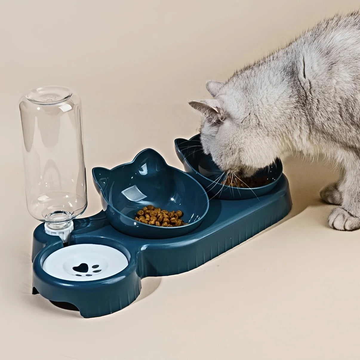 Tilted Pet Bowl & Water Feeder